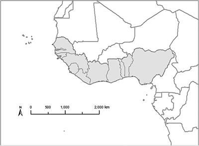 Large-Scale High-Resolution Coastal Mangrove Forests Mapping Across West Africa With Machine Learning Ensemble and Satellite Big Data